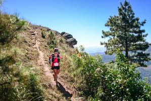 BIB: 
                            <button type="button" onclick="openModal(26604968)" class="btn btn-primary btn-sm float-right btn-popup" data-toggle="modal" data-target=".modal-high-quality">
                        <i class="fas fa-shopping-cart"></i> Add to Cart
                    </button>
                                            <button type="button" onclick="isThisMe(26604968, true)" class="btn btn-success btn-sm float-right btn-popup btn-isme hidden" data-toggle="tooltip" data-placement="bottom" title="นี่คือรูปของคุณใช่ไหม คลิกที่นี่เพื่อเอาเข้าอัลบั้ม">
                        <i class="fas fa-plus"></i> Add to album
                    </button>
                    <button type="button" onclick="isThisMe(26604968, false)" class="btn btn-warning btn-sm float-right btn-popup btn-isnotme hidden">
                        <i class="fas fa-ban"></i> Remove from album
                    </button>